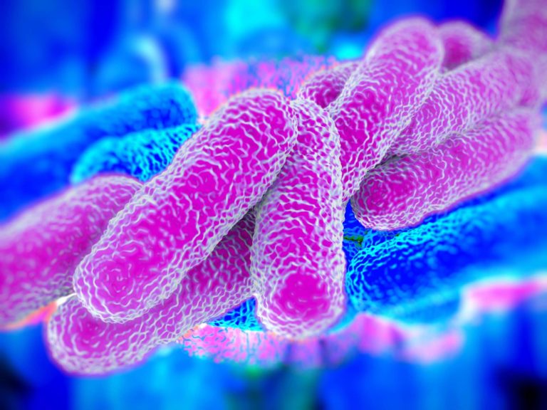 tratamiento-contra-legionella-zaragoza
